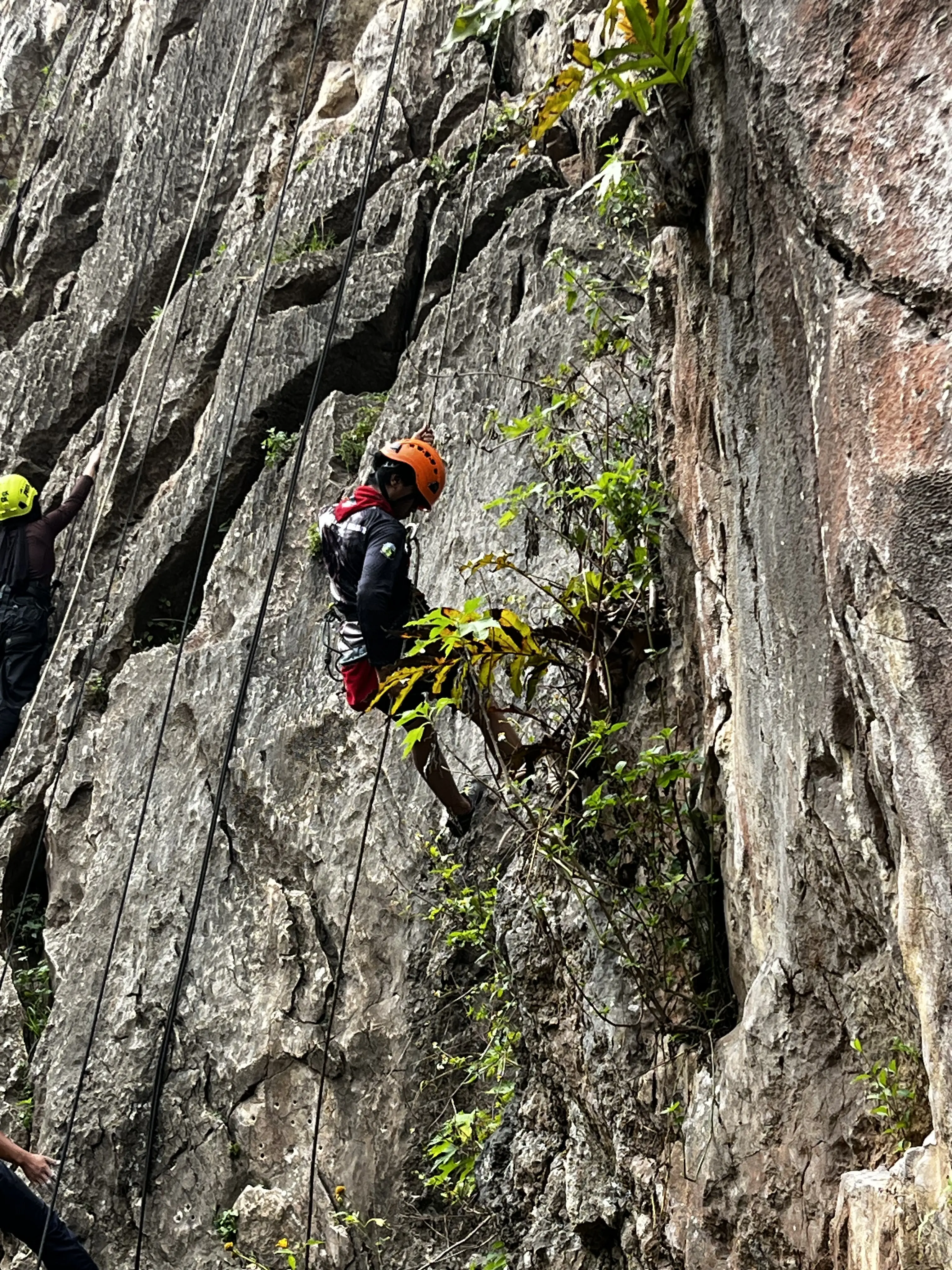 Climbing